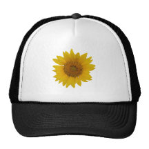 Sonnenblume Netz Caps