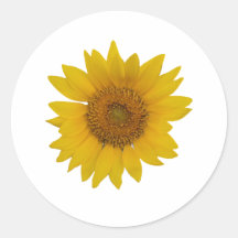 Sonnenblume Sticker