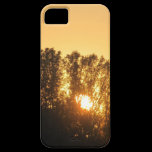 Sonnenuntergang casemate hüllen
