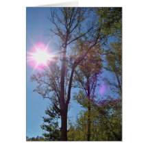 Sonnige Bäume Grußkarte
