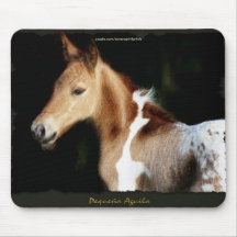 Spanischer Mustang-Fohlen Pferd-Liebhaber Mousepad