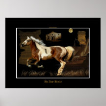 Spanish Mustang New Worlde Horse-lover Print