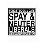 SPAY und NEUTRALISIEREN Sie Postkarten