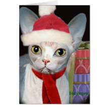 Sphynx Sankt Tatzen Grußkarten