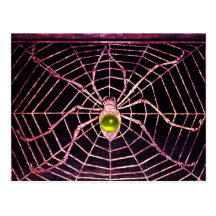 SPINNE UND NETZ gelbes Topaz-Schwarzes Postkarten