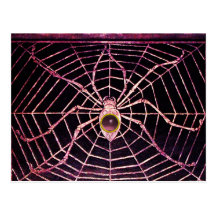 SPINNE UND NETZ rosa lila Amethyst Schwarzes Postkarten
