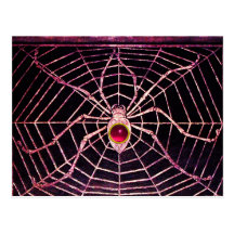 SPINNE UND NETZ rosa pinkfarbenes karminrotes Schw Postkarten