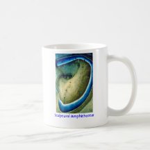 Spirale/tasse