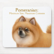 Spitz-Hundeniedlichkeit Mousepad