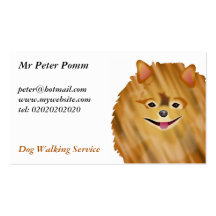 Spitz Visitenkarten