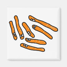 Spores de grippe aviaire aimant