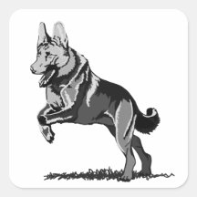 Spring Schäferhund Quadrataufkleber