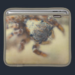 Springende Spinne ipad sleeves