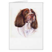 SpringerSpaniel gemalt in der Wasserfarbe Grußkarten
