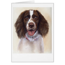 SpringerSpaniel gemalt in der Wasserfarbe Grußkarten