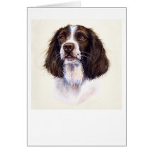 SpringerSpaniel gemalt in der Wasserfarbe Karten