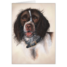 SpringerSpaniel gemalt in der Wasserfarbe Karten