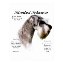 Standardschnauzer-Geschichtsentwurf Postkarte