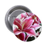 Stargazer-Lilie Anstecknadelbutton