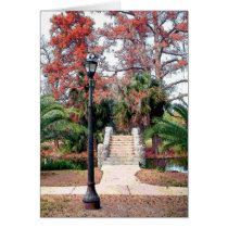 Steinbrücken-Stadt-Park New Orleans