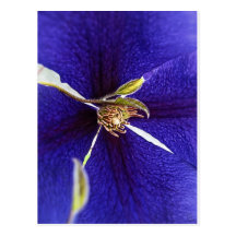 Stempel auf Lila Postkarte