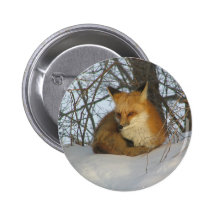Stillstehender Fox Anstecknadelbuttons