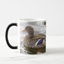 Stockenten-Enten-Frau Tee Haferl