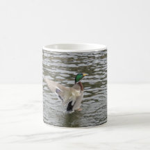 Stockenten-Enten-Mann Kaffeetasse