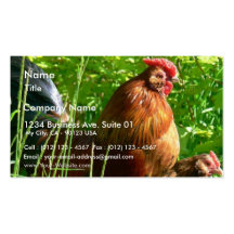 Stolzer Hahn-Huhn-Vogel Visitenkarten