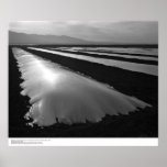 Strawberry Fields avec les couvertures en plastiqu Posters