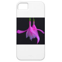 Stupéfaction dans la conception florale rose coques iPhone 5