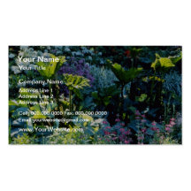 Sumpf-Pflanzen-Blumen Visitenkartenvorlage