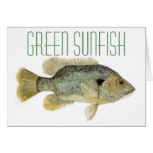 Sunfish vert carte