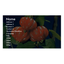 Surinam-Kirsche die Essbarfrucht (Eugenia uniflora Visitenkarten Vorlage