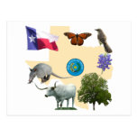 Symboles d'état du Texas Carte Postale