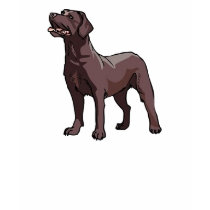 T-Shirt Browns Labrador