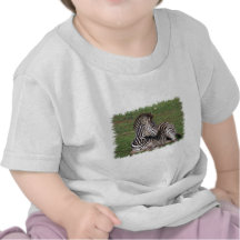 T-shirt de repos de bébé de zèbre