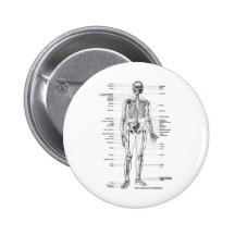 T-SHIRTS ET CADEAUX SQUELETTIQUES D'ANATOMIE PIN'S AVEC AGRAFE