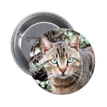 Tabby-Katze Anstecknadel
