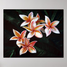 TANPlumeria Plakate