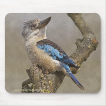 Tapis de souris de Kookaburra