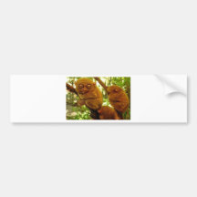 Tarsier1.jpg Adhésif Pour Voiture