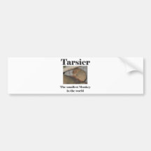 Tarsier.jpg Autocollants Pour Voiture
