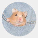 Taschenhamsteraufkleber