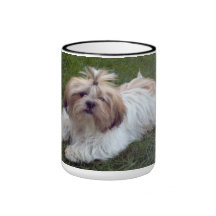 Tasse/Cup