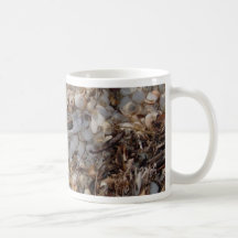 TASSE  TOTE FISCHE