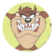 Taz, das 15 aufwirft