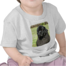 Terre-Neuve 9M100D-109 T-shirts