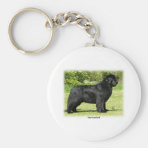 Terre-Neuve 9T086D-088 Porte-clefs