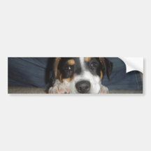 Terrier de Jack Russel--mignon Adhésifs Pour Voiture